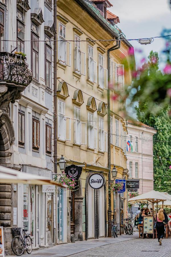 Ab Ljubljana - The Princess Castle Triplex מראה חיצוני תמונה